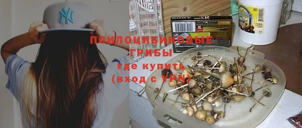 мяу мяу кристалл Ладушкин