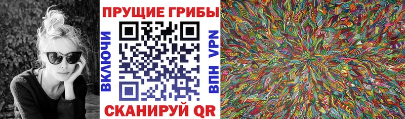 Галлюциногенные грибы MAGIC MUSHROOMS  Купить закладки  Калач 